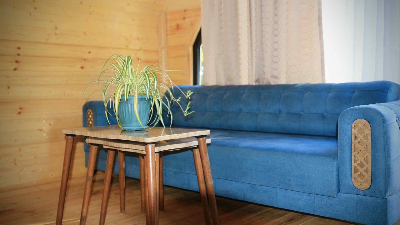 Photo of Livingroom in Tsikhisdziri