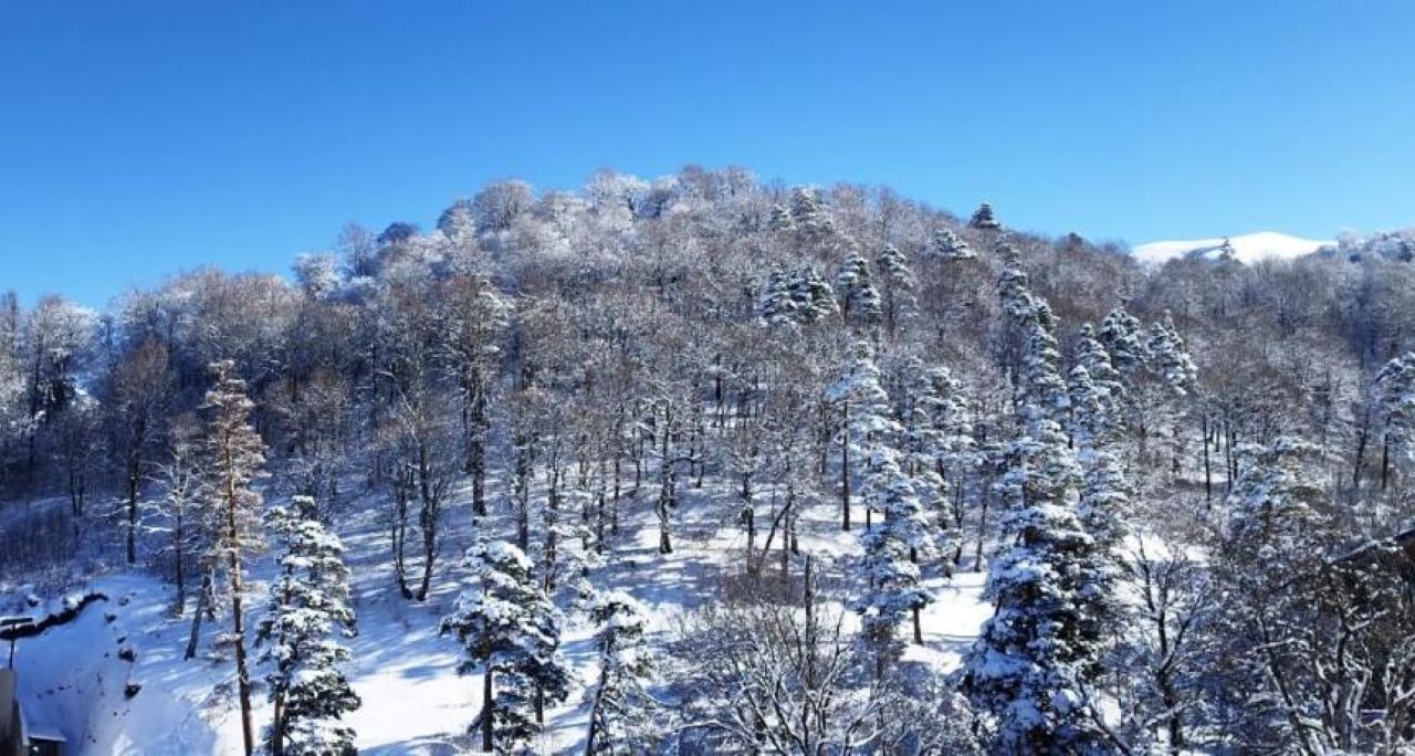Photo of Others in Borjomi