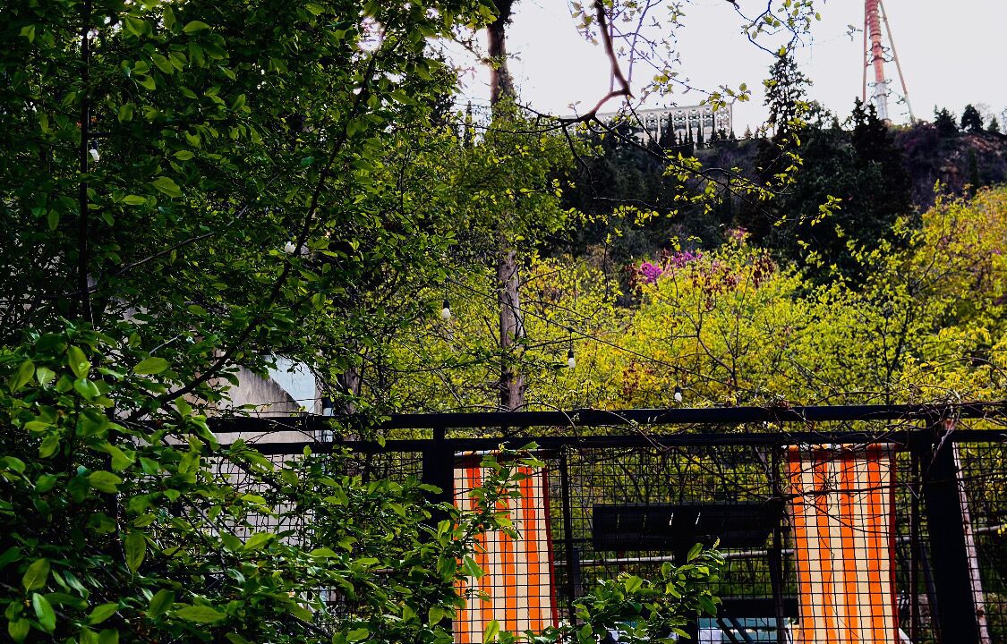 Photo of Outdoor in Old Tbilisi