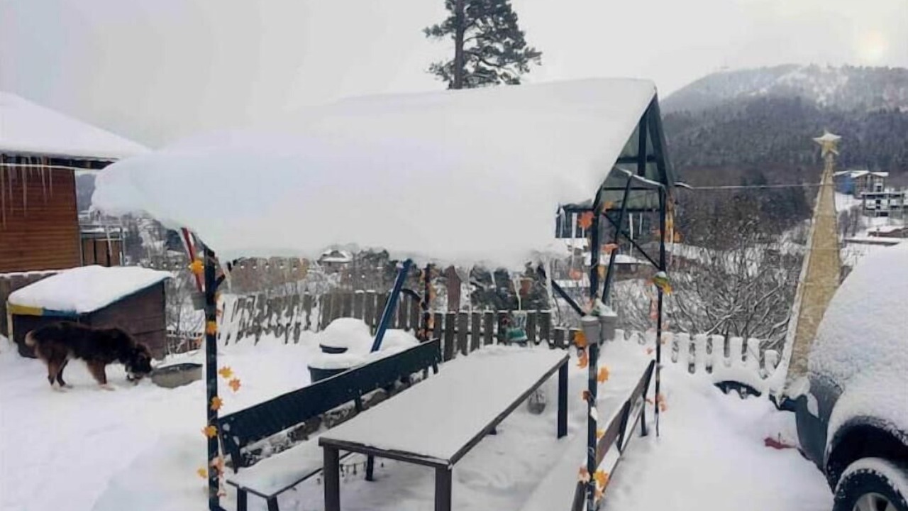 Photo of Outdoor in Bakuriani