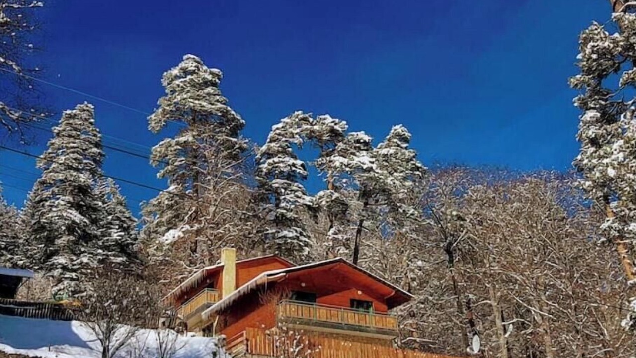Photo of Outdoor in Bakuriani
