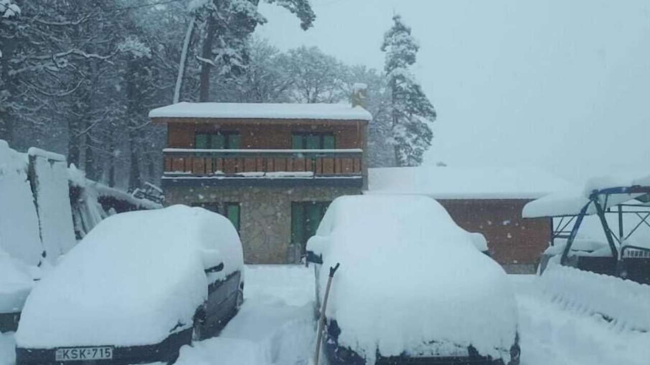 Photo of Outdoor in Bakuriani