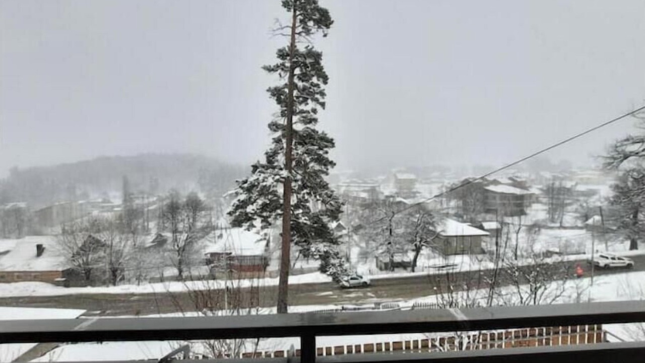 Photo of Outdoor in Bakuriani