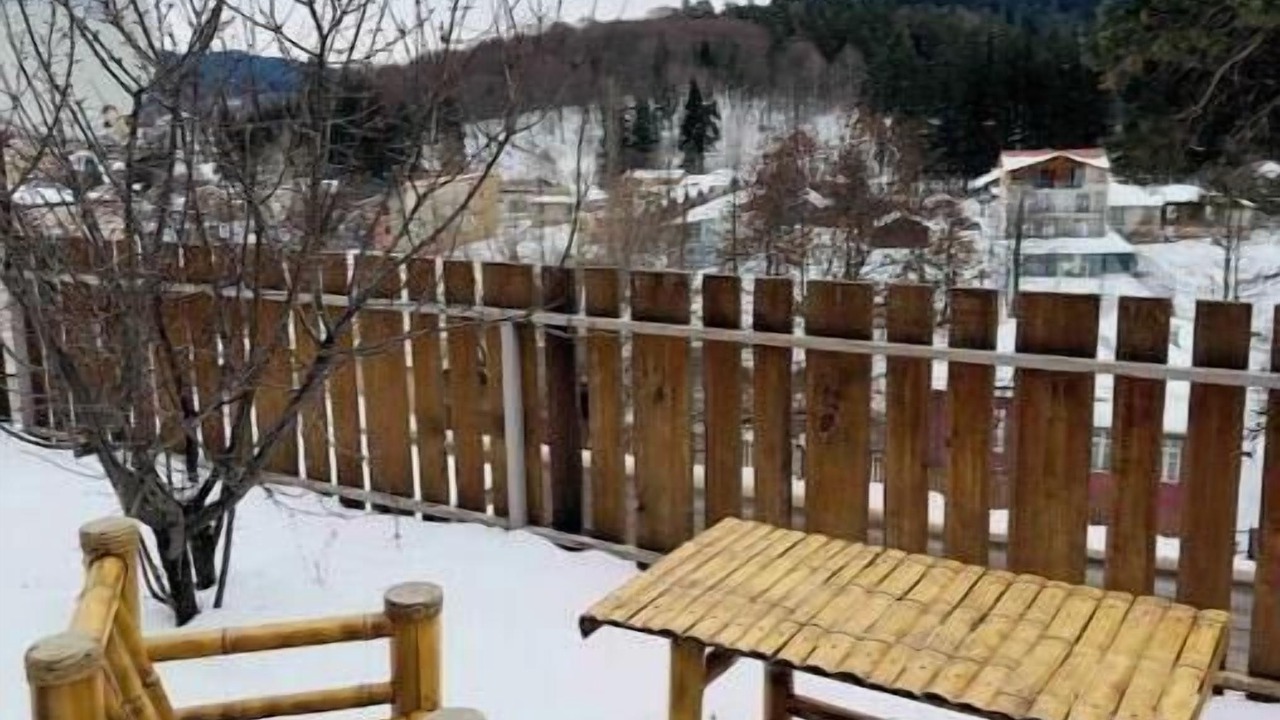 Photo of Outdoor in Bakuriani