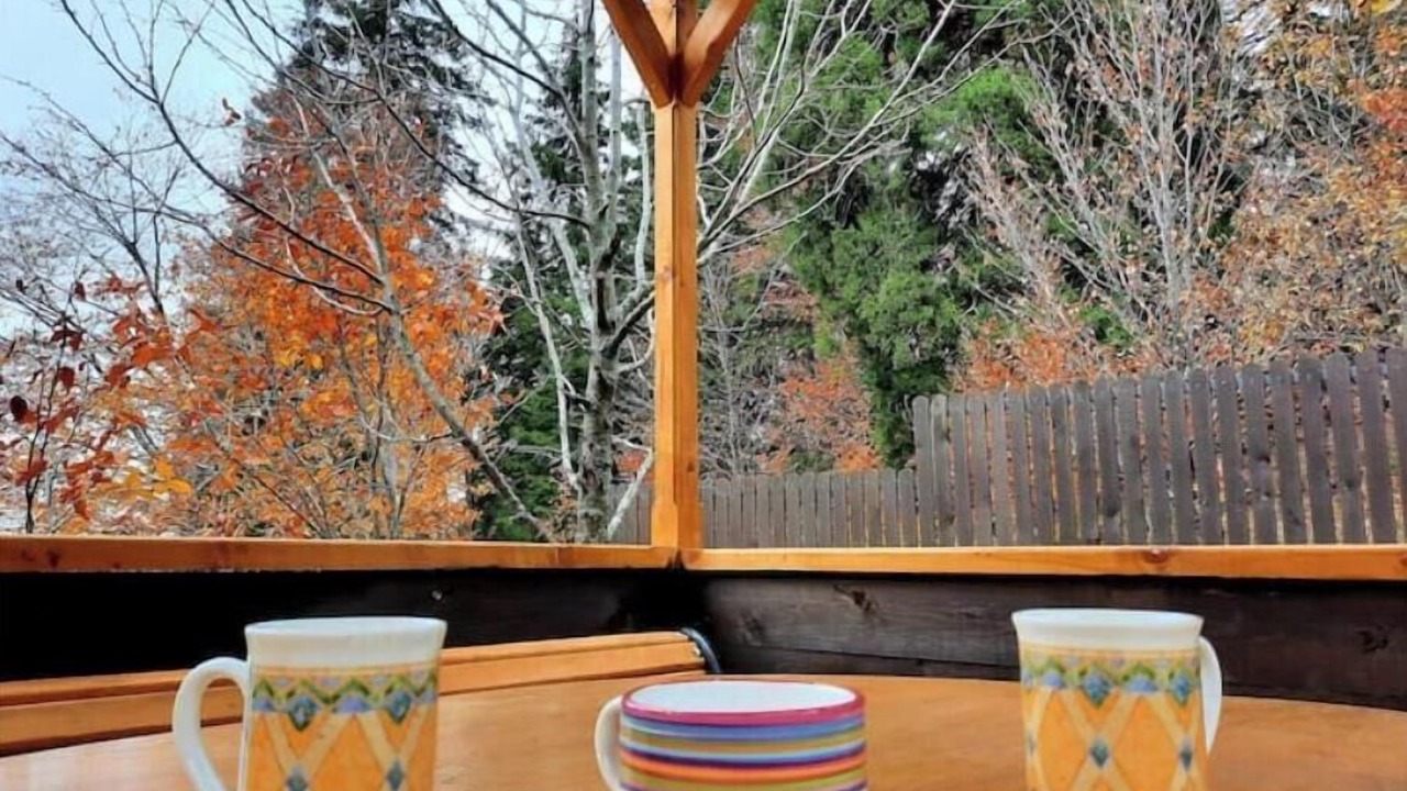Photo of Outdoor in Bakuriani