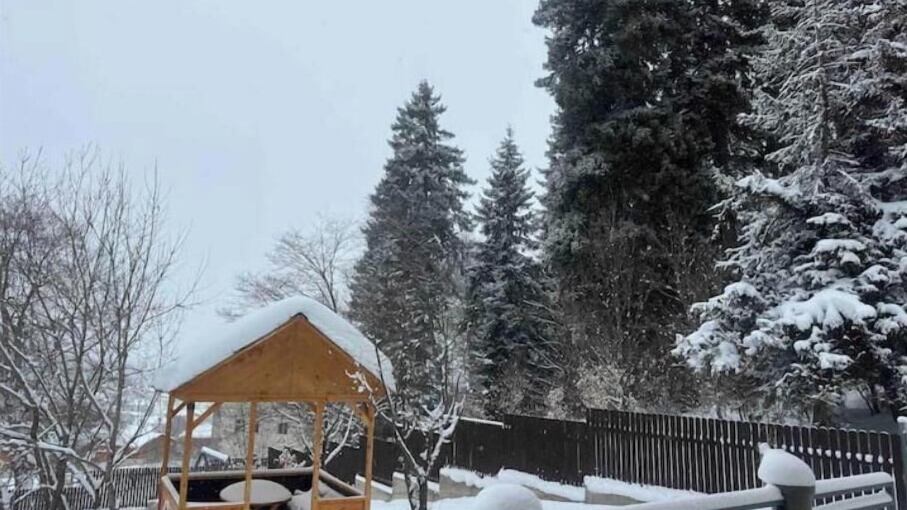 Photo of Outdoor in Bakuriani