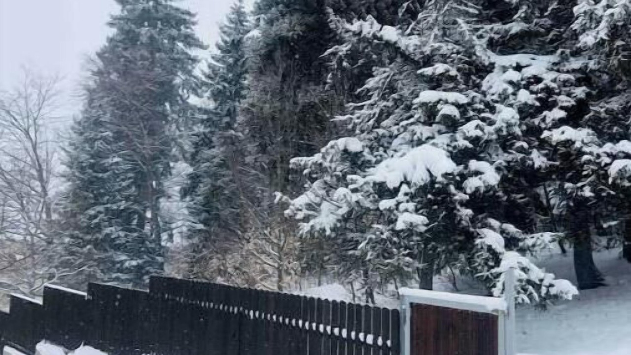 Photo of Outdoor in Bakuriani
