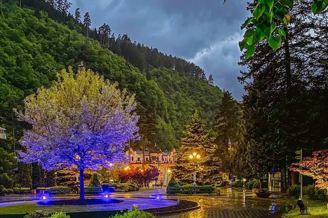 Photo of Others in Borjomi