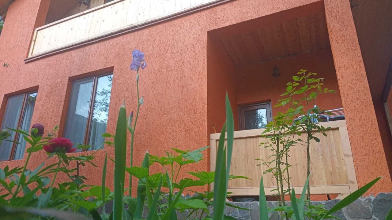 Photo of Outdoor in Borjomi