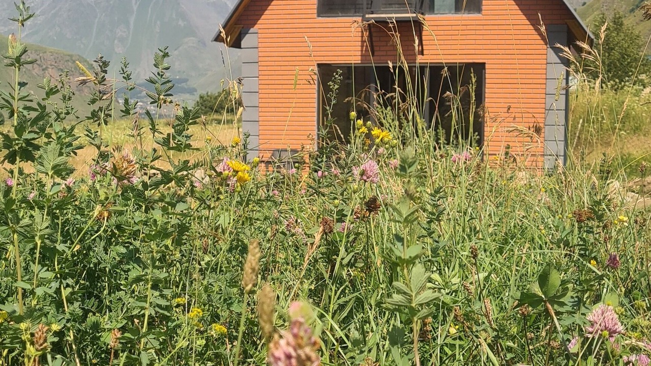 Photo of Outdoor in Kazbegi