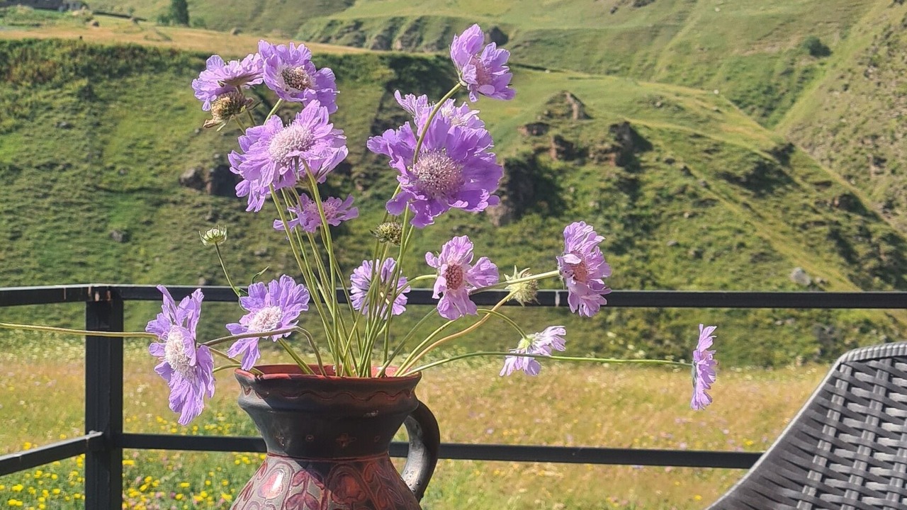 Photo of Outdoor in Kazbegi