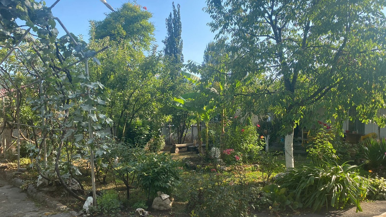 Photo of Outdoor in Tsageri