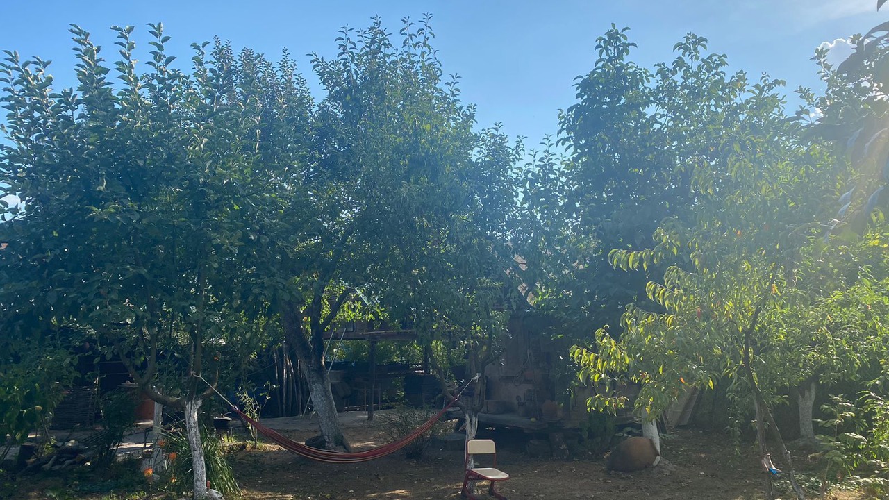 Photo of Outdoor in Tsageri