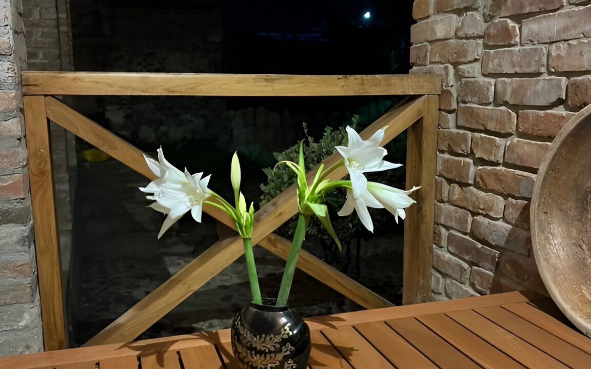 Photo of Outdoor in Kutaisi