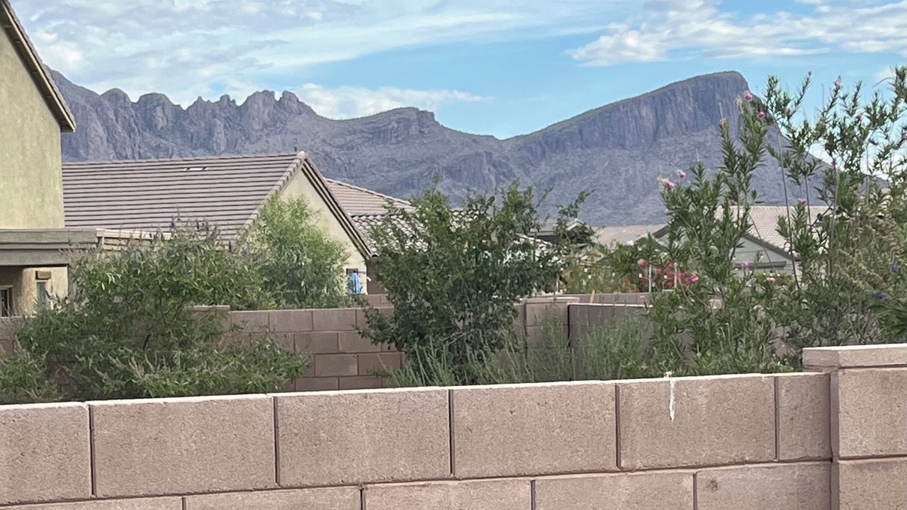 Photo of Others in Tucson