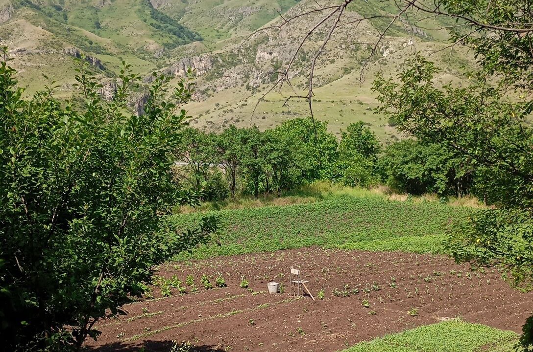 Photo of Others in T'ba