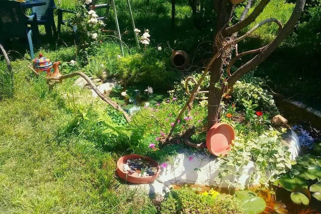 Photo of Outdoor in Vedzebi