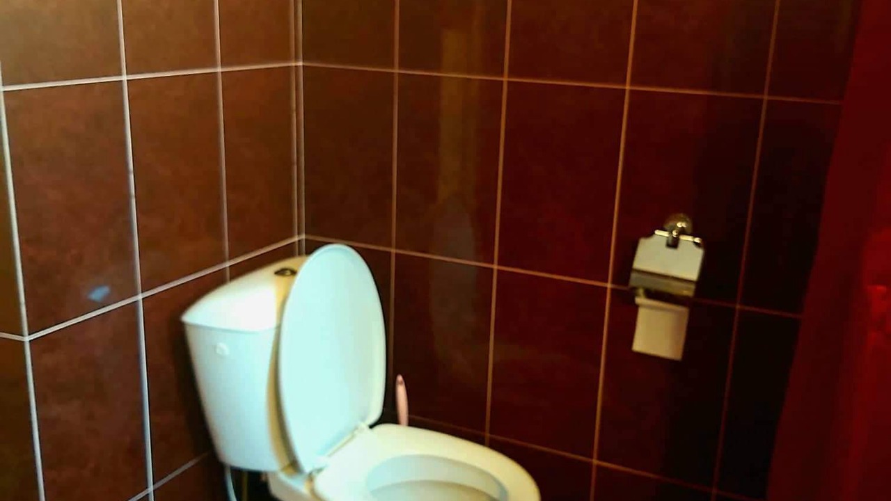 Photo of Bathroom in Vedzebi