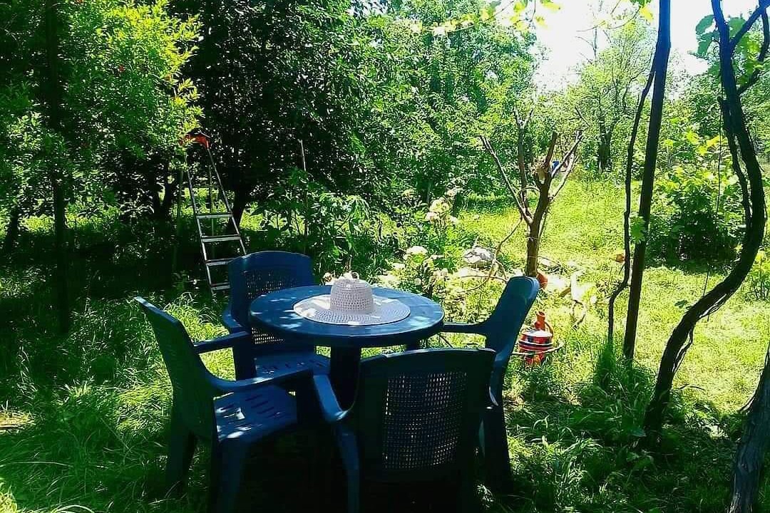 Photo of Outdoor in Vedzebi