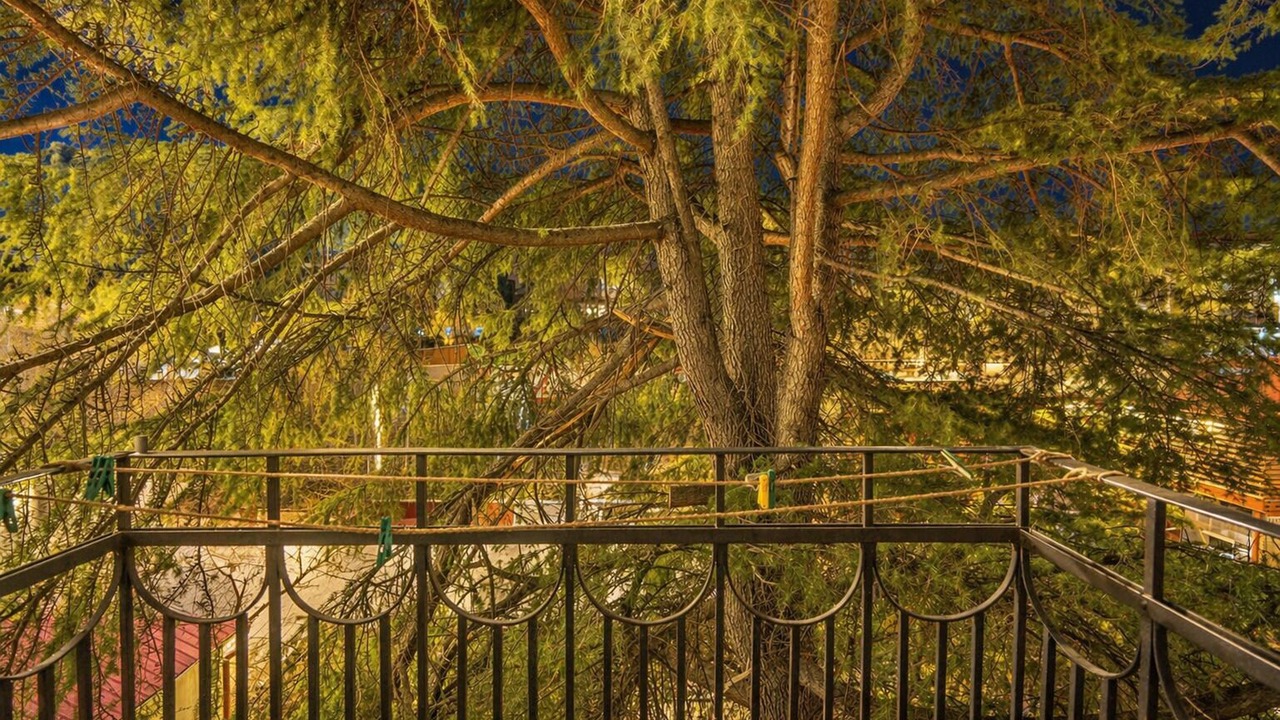 Photo of Outdoor in Vera