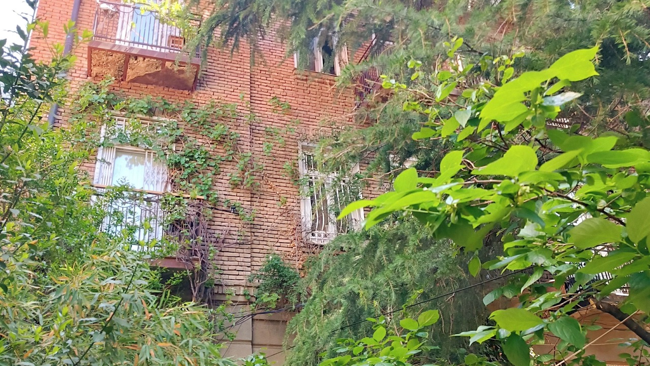 Photo of Outdoor in Vera