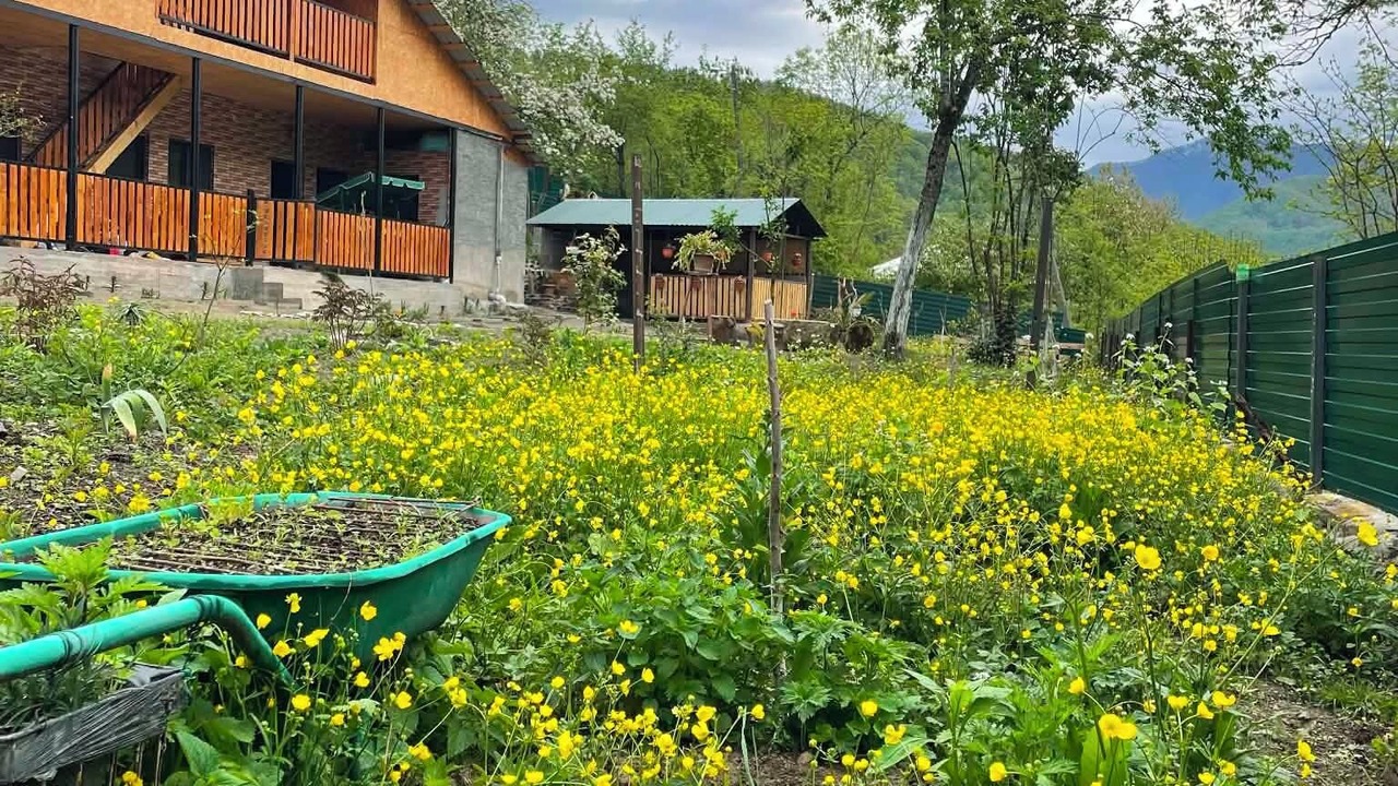 Photo of Outdoor in Ambrolauri
