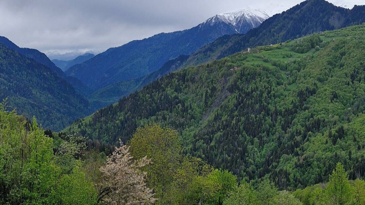 Photo of Outdoor in Mestia