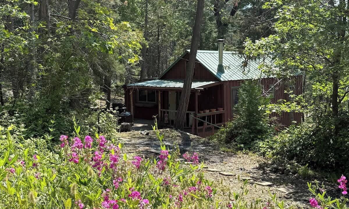Photo of Outdoor in Big Creek
