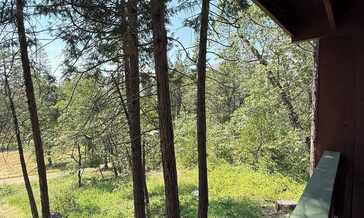 Photo of Outdoor in Big Creek