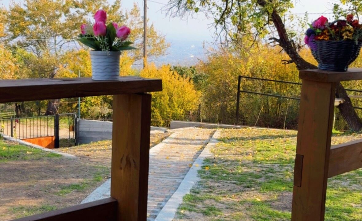 Photo of Outdoor in Sighnaghi