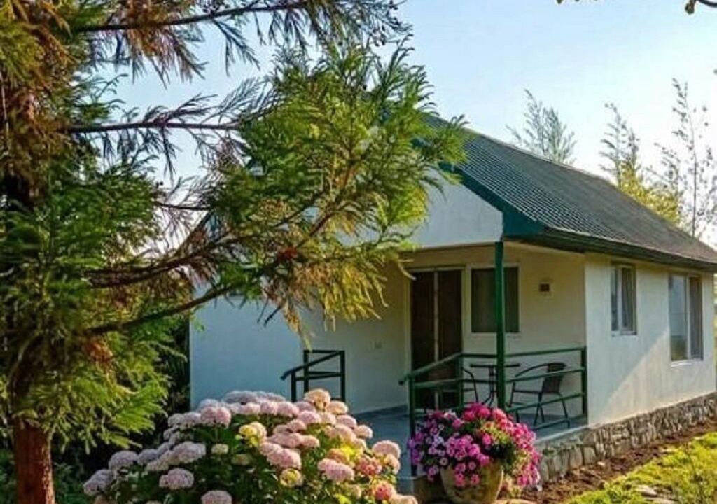 Photo of Outdoor in Lagodekhi