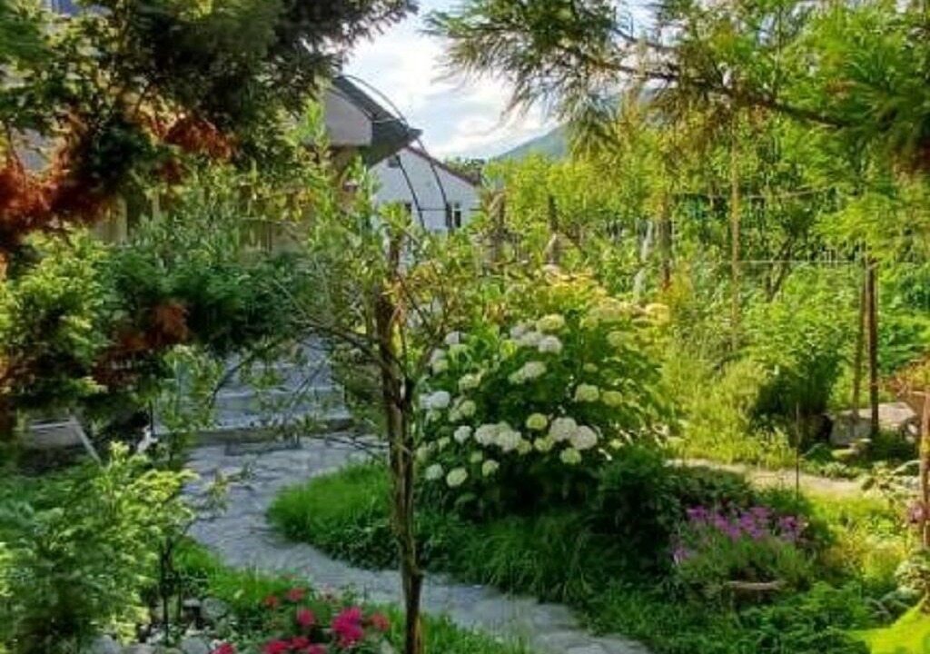 Photo of Outdoor in Lagodekhi