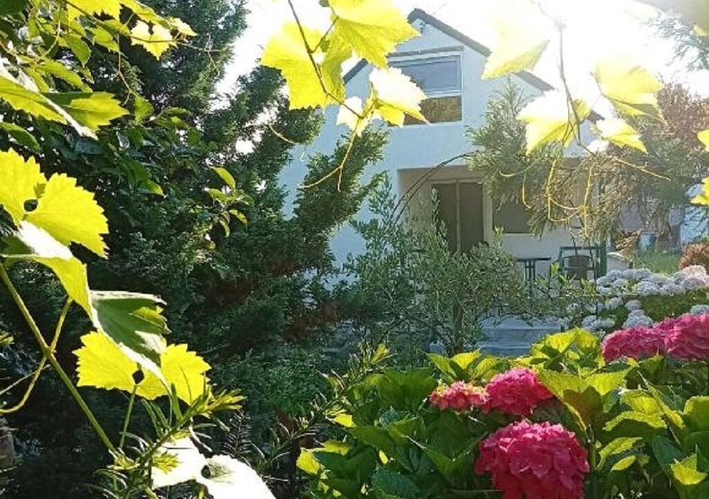 Photo of Outdoor in Lagodekhi