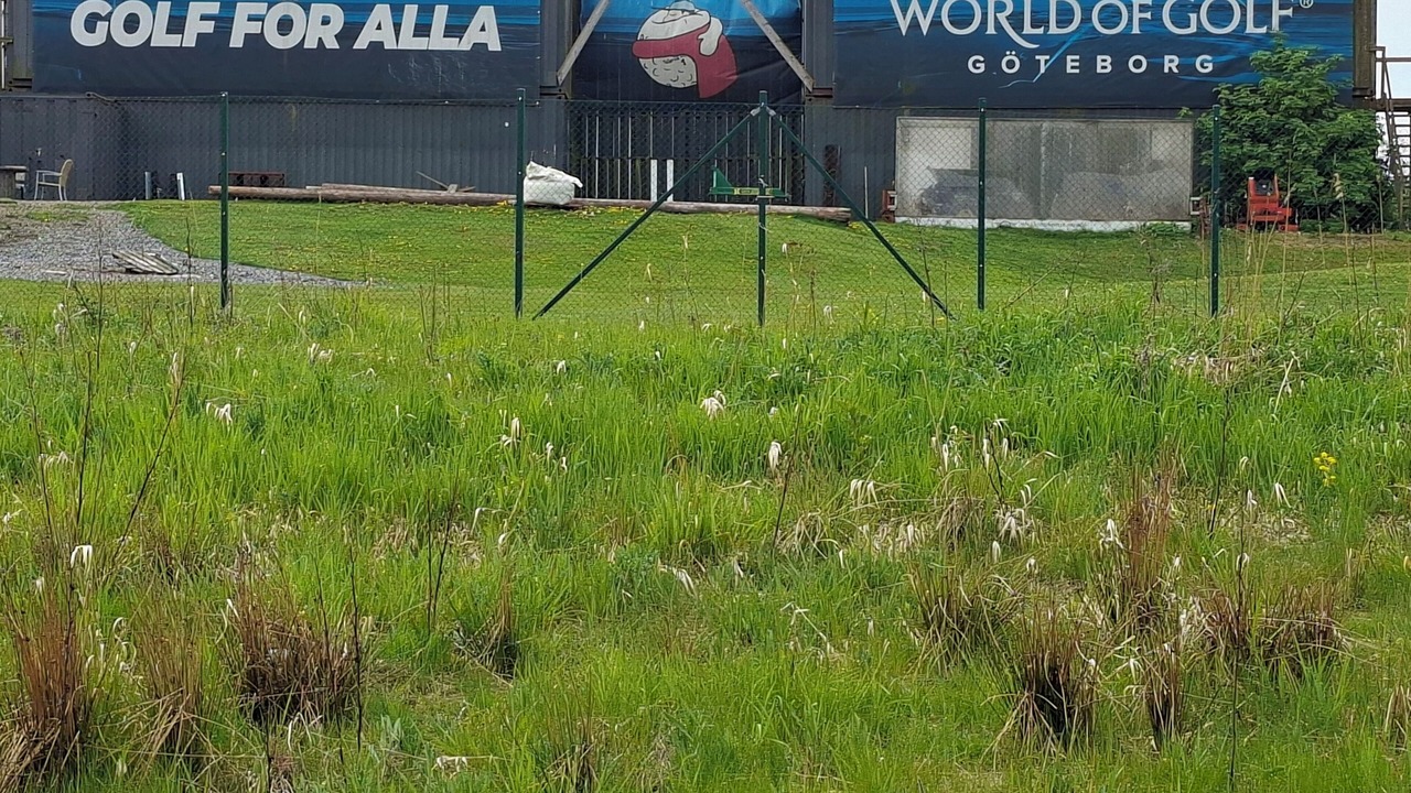 Photo of Outdoor in Vastra Frolunda