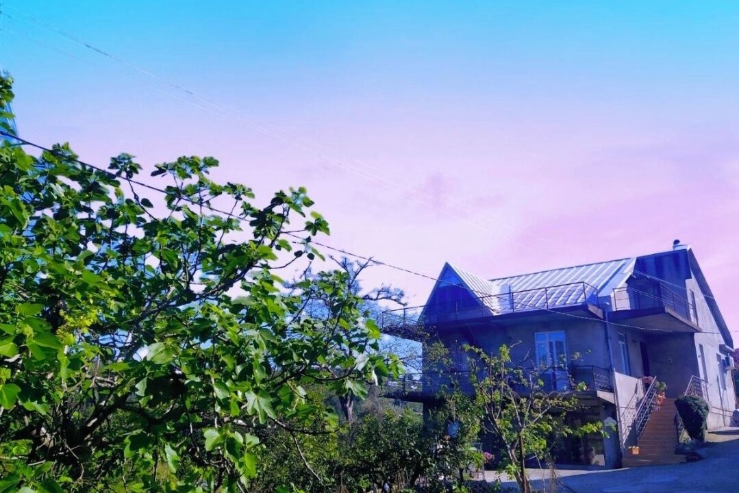 Photo of Outdoor in Khelvachauri