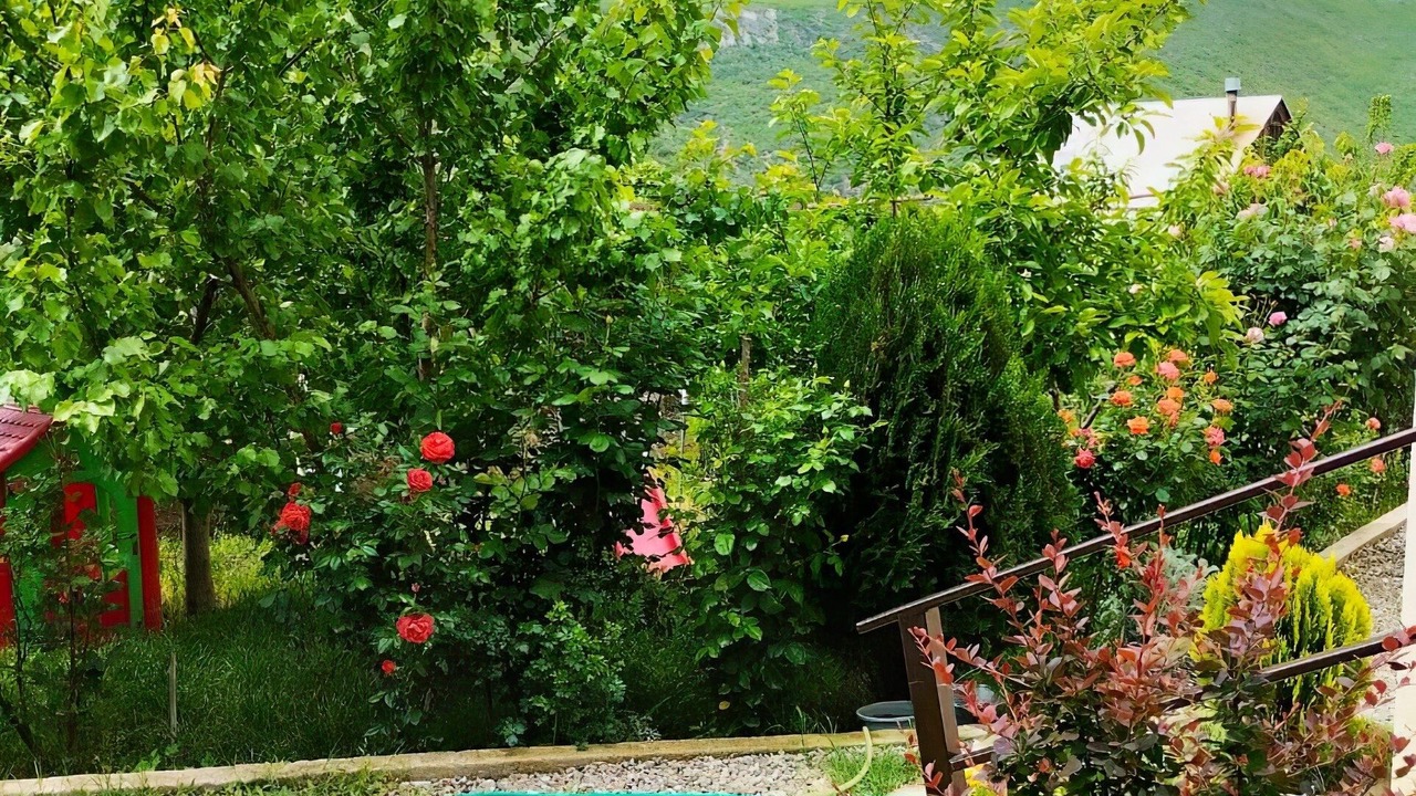Photo of Outdoor in Vake-Saburtalo