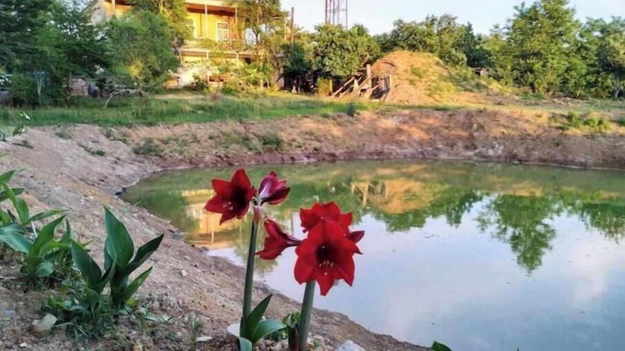 Photo of Outdoor in Tsqaltubo
