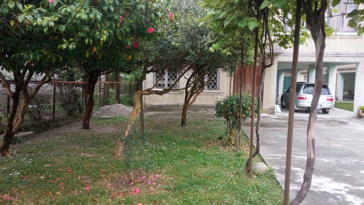 Photo of Outdoor in Zugdidi