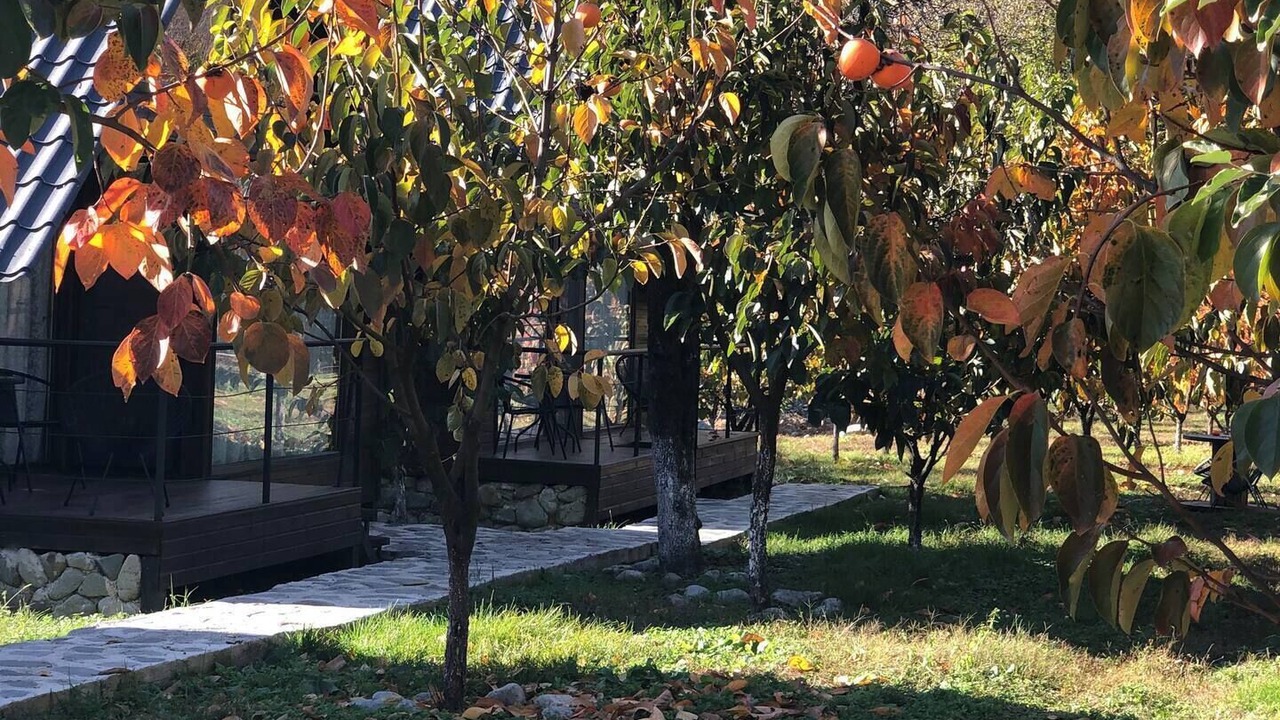 Photo of Outdoor in Lagodekhi