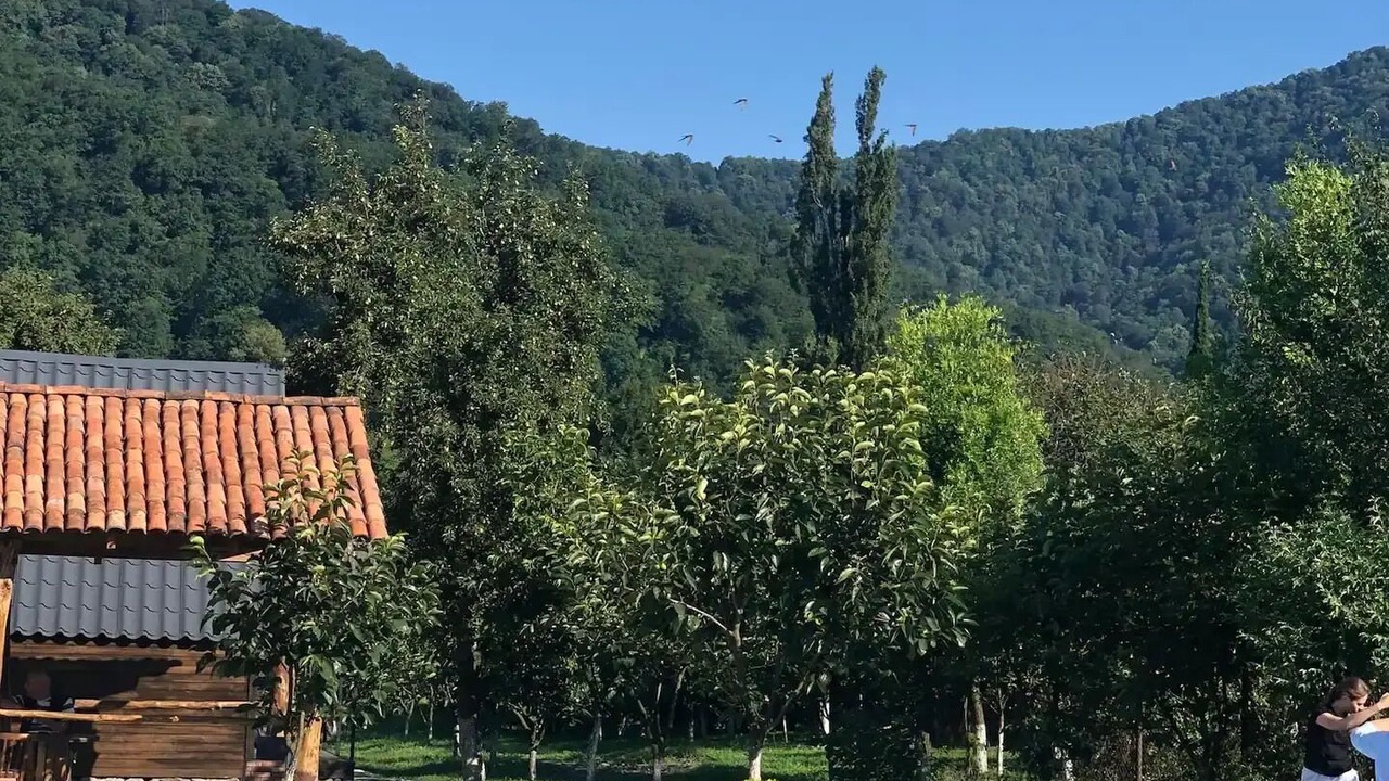 Photo of Outdoor in Lagodekhi