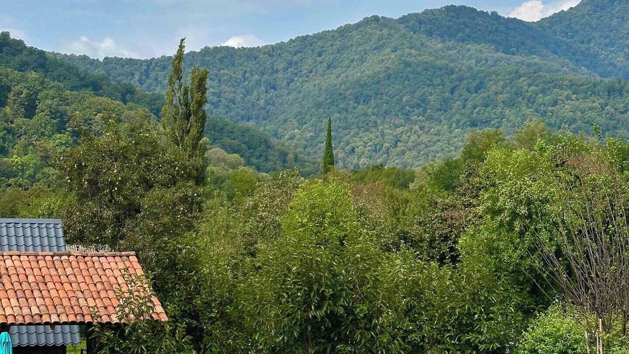 Photo of Outdoor in Lagodekhi