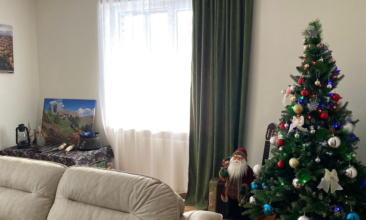Photo of Livingroom in Dusheti
