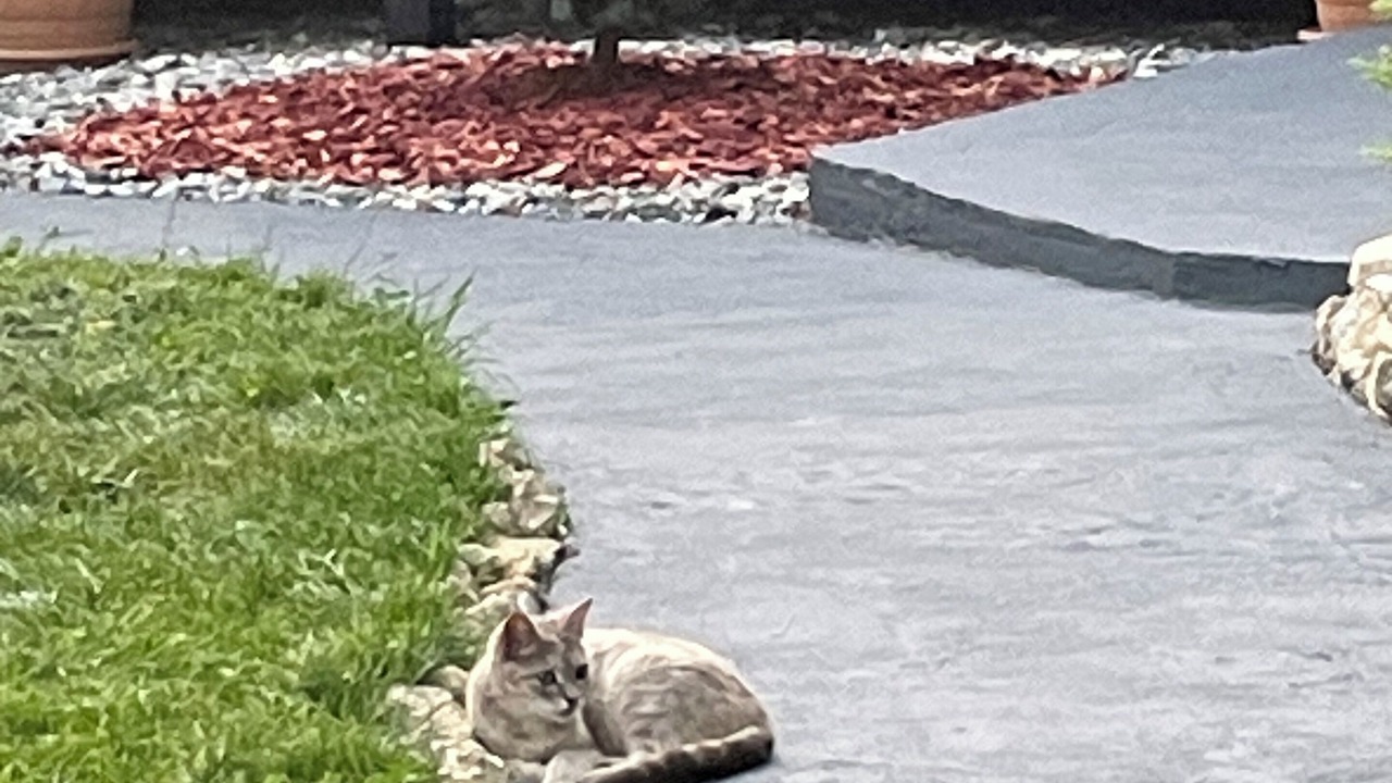 Photo of Outdoor in Kutaisi