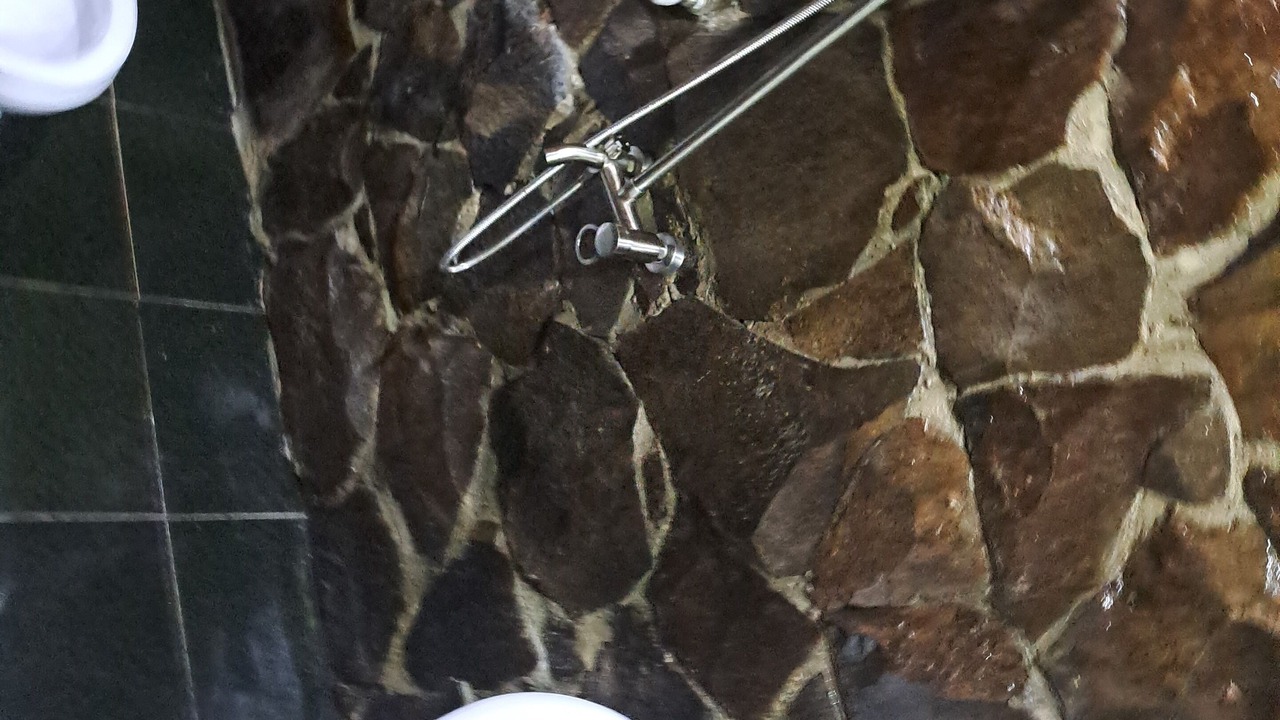 Photo of Bathroom in Likani