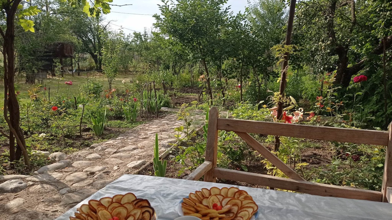 Photo of Outdoor in Tsilkani