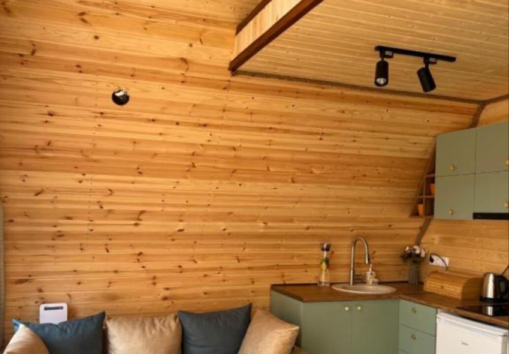 Photo of Livingroom in Ambrolauri