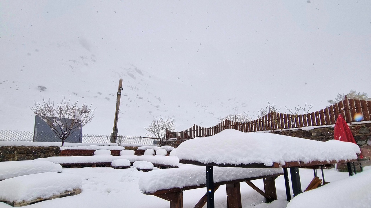 Photo of Outdoor in Kazbegi