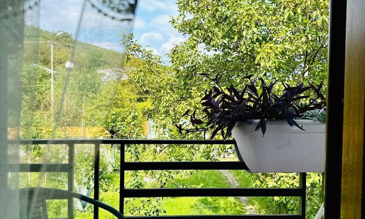 Photo of Outdoor in Kutaisi