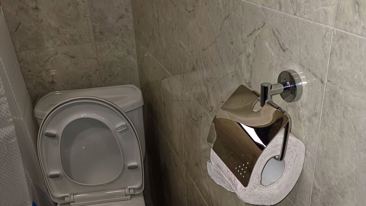 Photo of Bathroom in Kazbegi