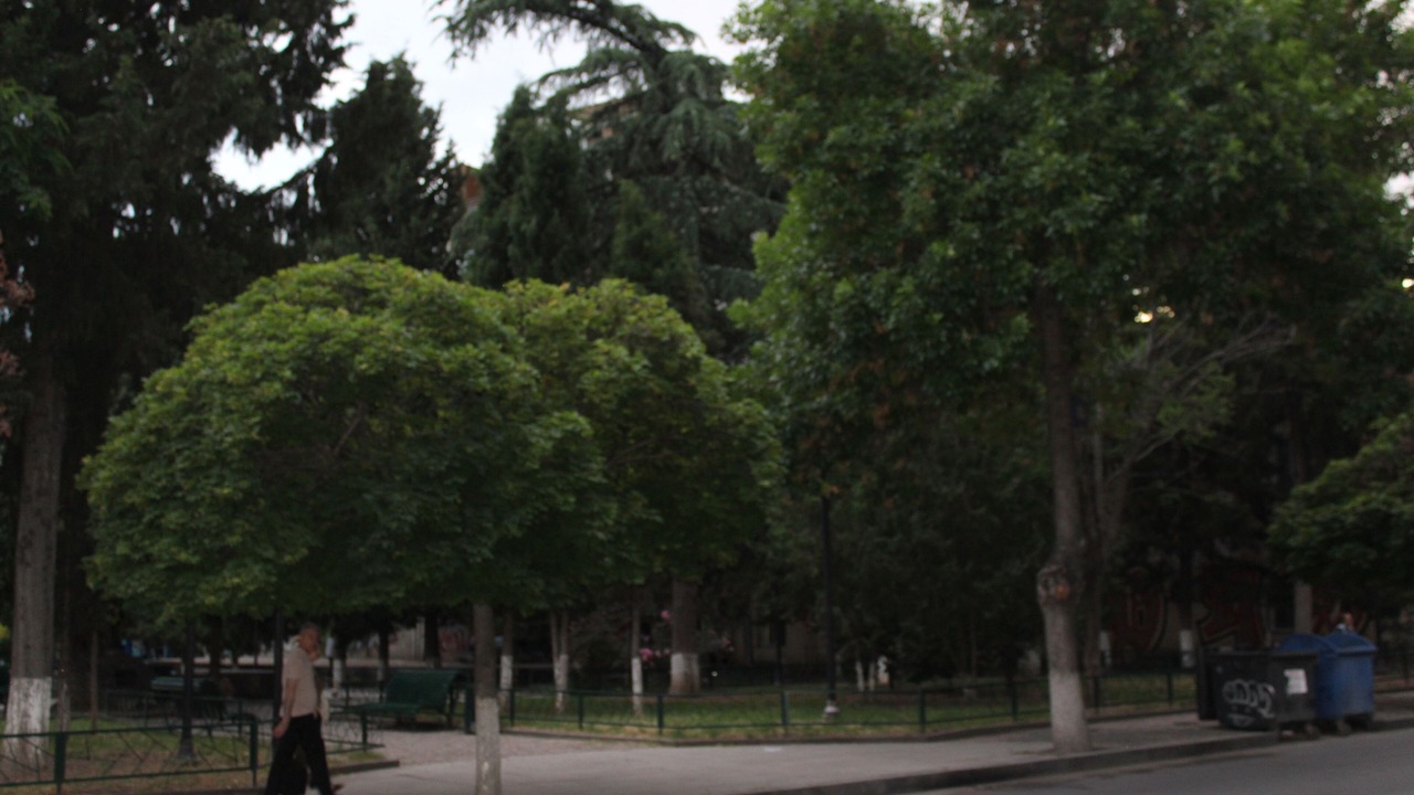 Photo of Others in Chugureti